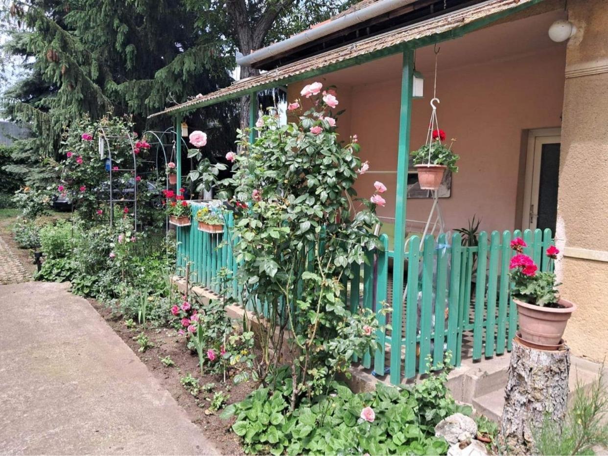 Grany'S Retro Guesthouse Near Budapest Airport 베체스 외부 사진